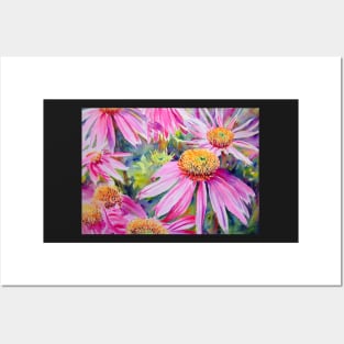 Purple Cone Flowers Posters and Art